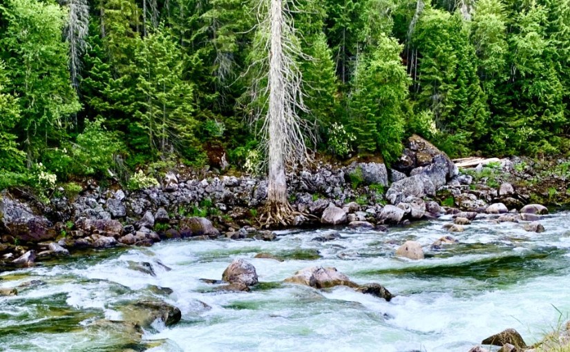 Find Your Inspiration&nbsp;Here